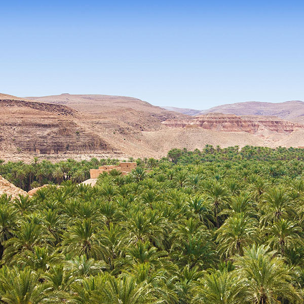 Biskra