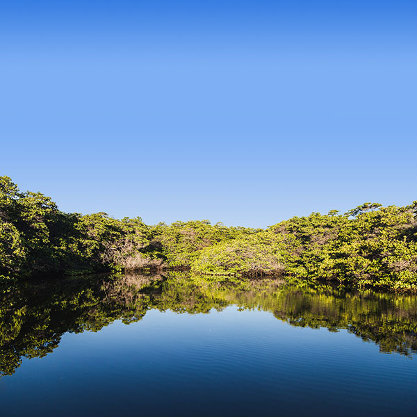 Baltra Island